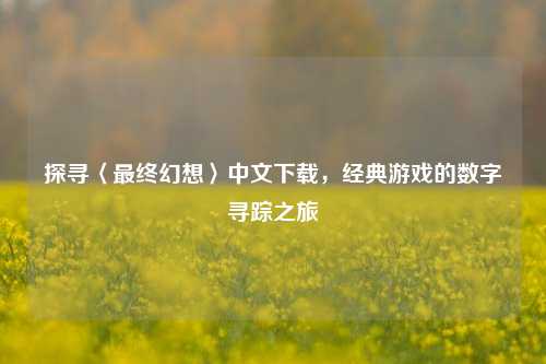 探寻〈最终幻想〉中文下载，经典游戏的数字寻踪之旅