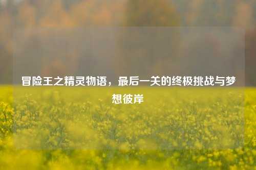 冒险王之精灵物语，最后一关的终极挑战与梦想彼岸