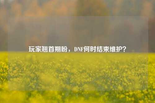 玩家翘首期盼，DNF何时结束维护？