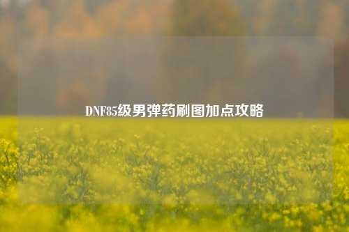 DNF85级男弹药刷图加点攻略