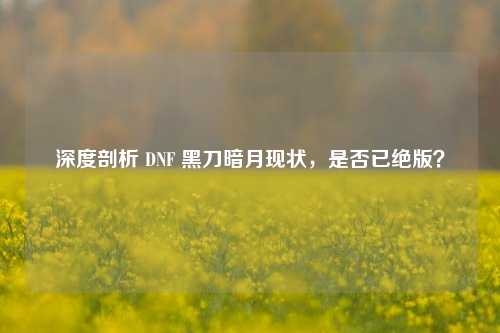 深度剖析 DNF 黑刀暗月现状，是否已绝版？