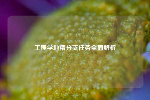 工程学地精分支任务全面解析