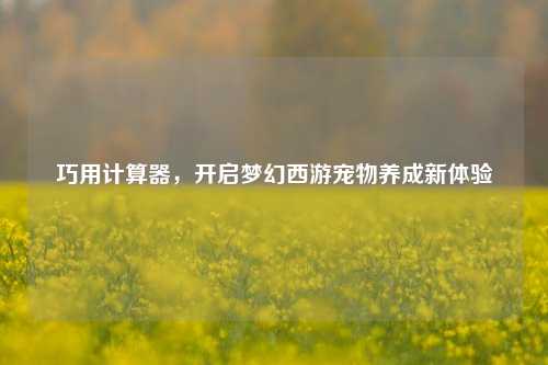 巧用计算器，开启梦幻西游宠物养成新体验