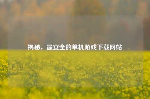 揭秘，最安全的单机游戏下载网站