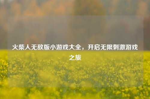 火柴人无敌版小游戏大全，开启无限刺激游戏之旅