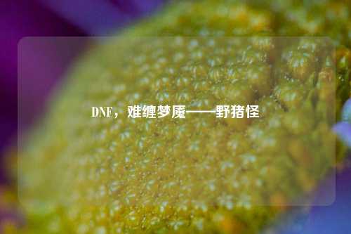 DNF，难缠梦魇——野猪怪
