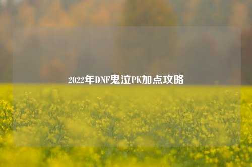 2022年DNF鬼泣PK加点攻略