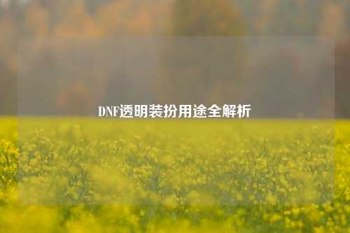 DNF透明装扮用途全解析
