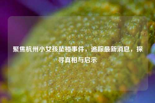 聚焦杭州小女孩坠楼事件，追踪最新消息，探寻真相与启示