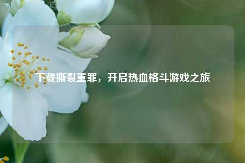 下载撕裂重罪，开启热血格斗游戏之旅