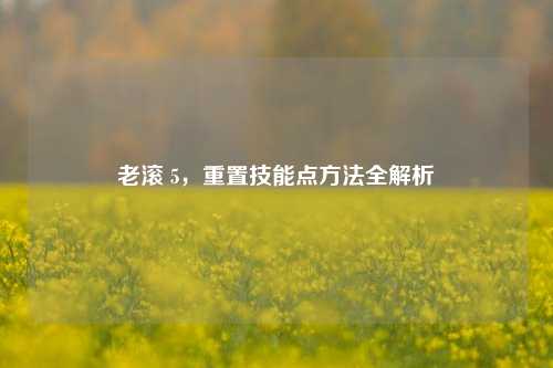 老滚 5，重置技能点方法全解析