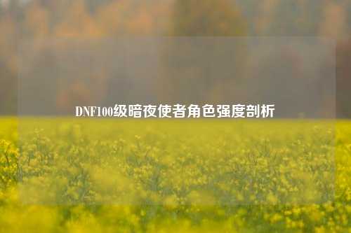DNF100级暗夜使者角色强度剖析