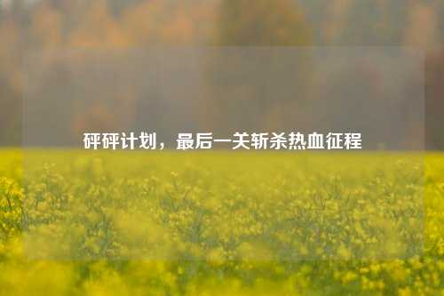 砰砰计划，最后一关斩杀热血征程