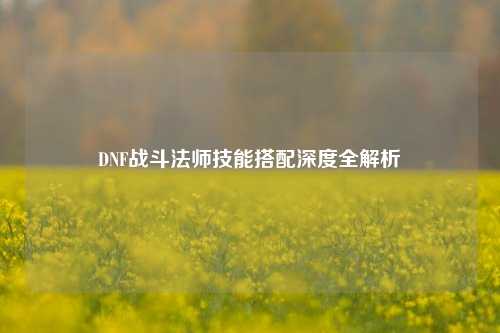 DNF战斗法师技能搭配深度全解析