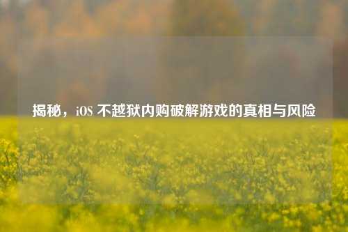揭秘，iOS 不越狱内购破解游戏的真相与风险