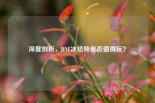 深度剖析，DNF冰结师是否值得玩？