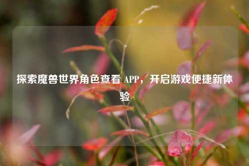 探索魔兽世界角色查看 APP，开启游戏便捷新体验
