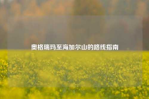 奥格瑞玛至海加尔山的路线指南