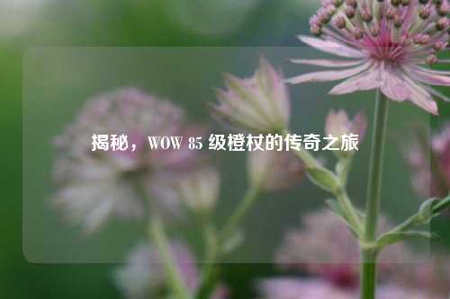 揭秘，WOW 85 级橙杖的传奇之旅