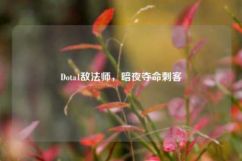 Dota1敌法师，暗夜夺命刺客