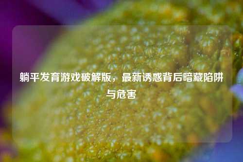 躺平发育游戏破解版，最新诱惑背后暗藏陷阱与危害