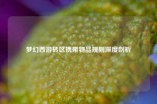 梦幻西游转区携带物品规则深度剖析
