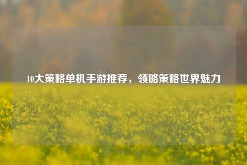 10大策略单机手游推荐，领略策略世界魅力