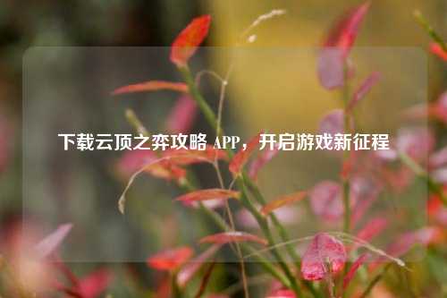 下载云顶之弈攻略 APP，开启游戏新征程