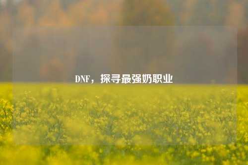 DNF，探寻最强奶职业