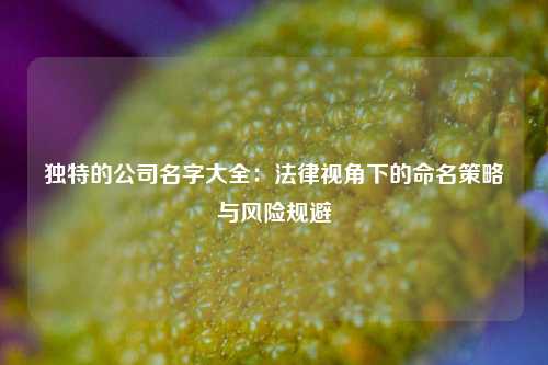 独特的公司名字大全：法律视角下的命名策略与风险规避