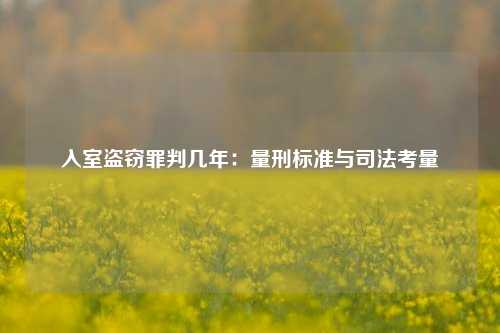 入室盗窃罪判几年：量刑标准与司法考量