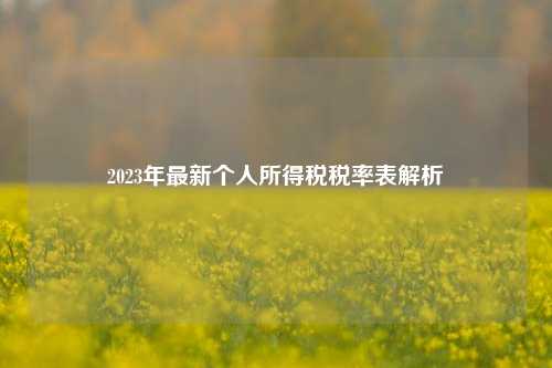 2023年最新个人所得税税率表解析
