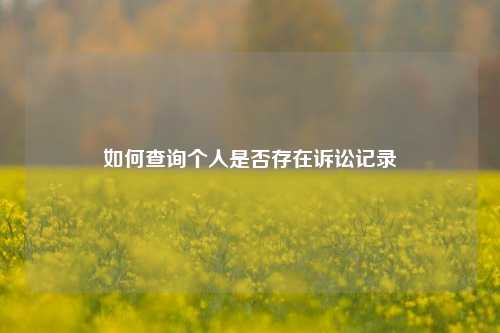 如何查询个人是否存在诉讼记录