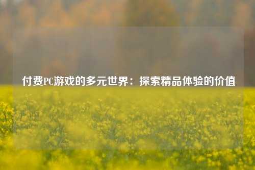  付费PC游戏的多元世界：探索精品体验的价值