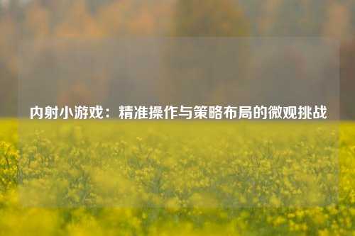 内射小游戏：精准操作与策略布局的微观挑战