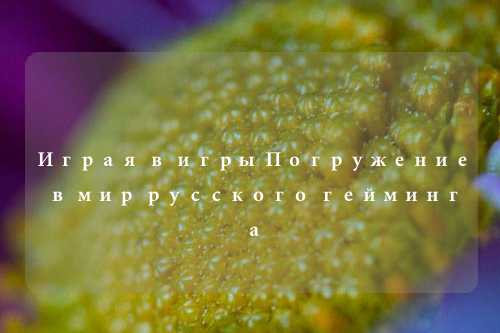 Играя в игры Погружение в мир русского гейминга