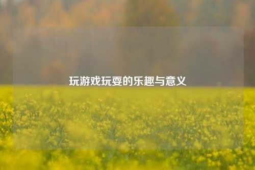 玩游戏玩耍的乐趣与意义