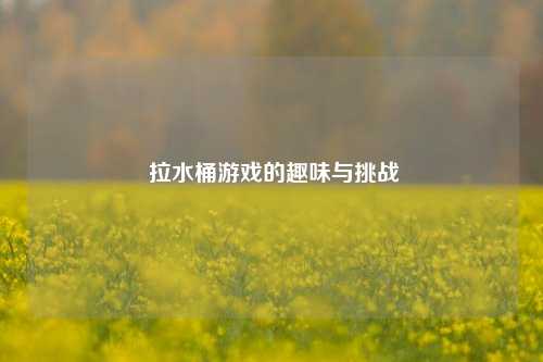  拉水桶游戏的趣味与挑战