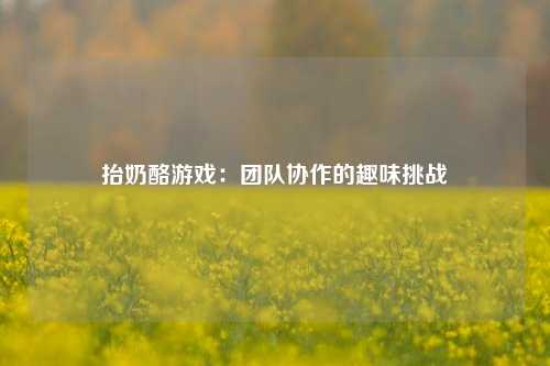 抬奶酪游戏：团队协作的趣味挑战